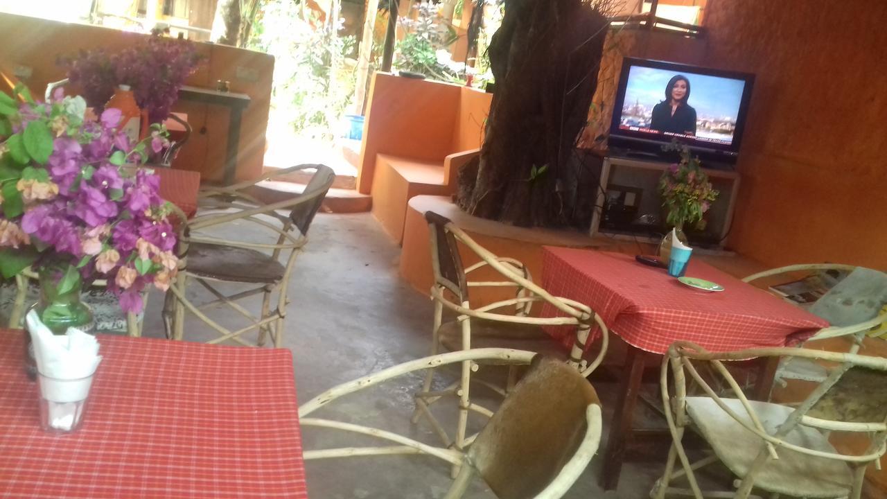 Sipano Beach Lodge Kiwengwa  Exterior foto